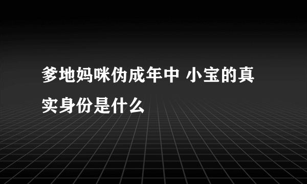 爹地妈咪伪成年中 小宝的真实身份是什么