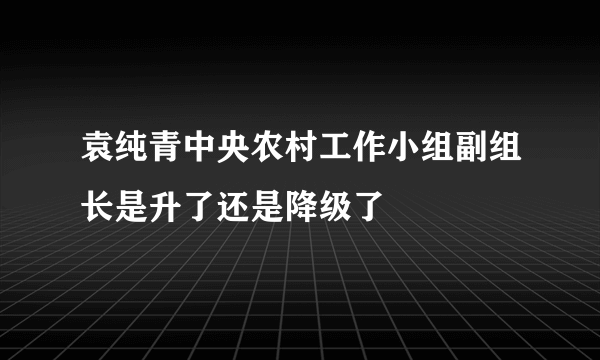 袁纯青中央农村工作小组副组长是升了还是降级了