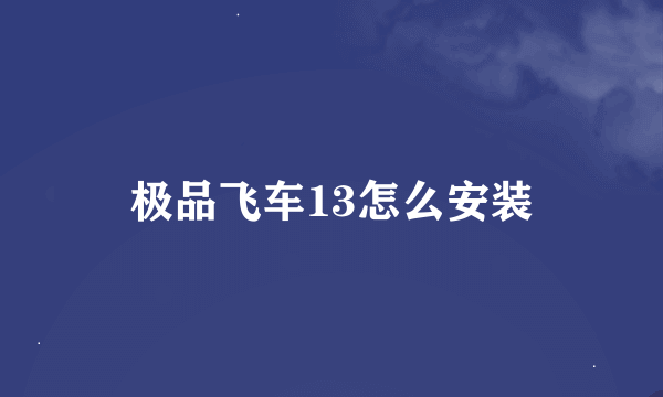 极品飞车13怎么安装