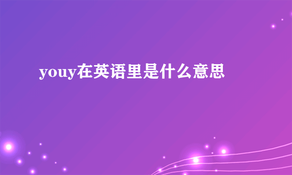 youy在英语里是什么意思