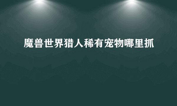 魔兽世界猎人稀有宠物哪里抓