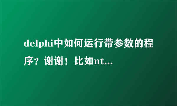 delphi中如何运行带参数的程序？谢谢！比如ntsd -c q -pn studentmain.exe