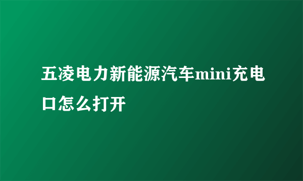 五凌电力新能源汽车mini充电口怎么打开