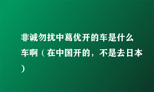 非诚勿扰中葛优开的车是什么车啊（在中国开的，不是去日本)