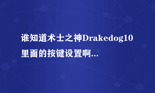 谁知道术士之神Drakedog10里面的按键设置啊 还有宏 谢谢各位大大