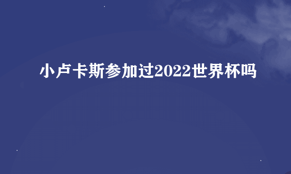 小卢卡斯参加过2022世界杯吗