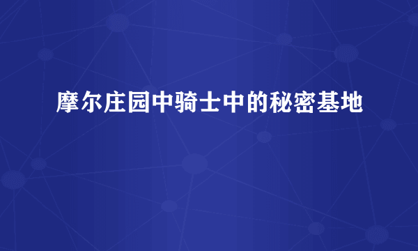 摩尔庄园中骑士中的秘密基地