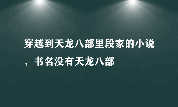 穿越到天龙八部里段家的小说，书名没有天龙八部