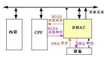 DMA是什么意思