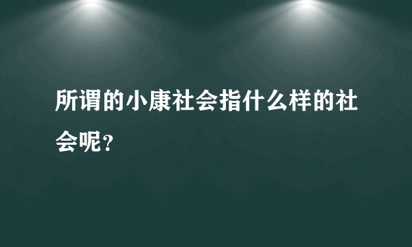 所谓的小康社会指什么样的社会呢？