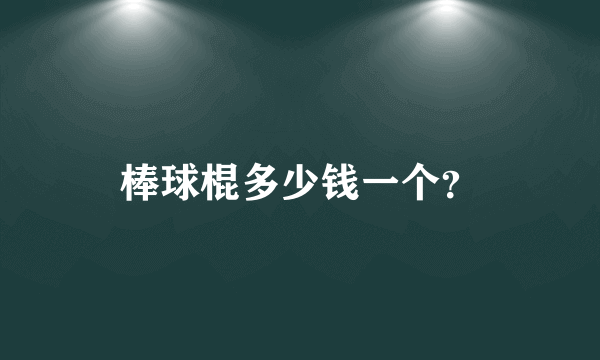 棒球棍多少钱一个？