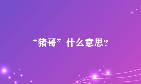 “猪哥”什么意思？