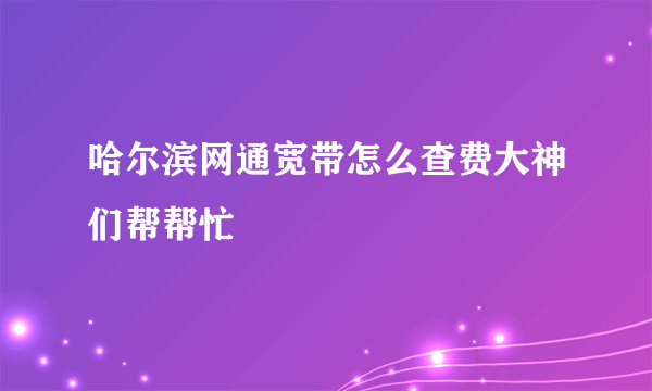 哈尔滨网通宽带怎么查费大神们帮帮忙