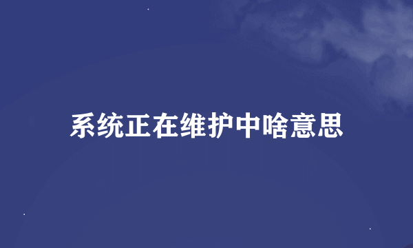 系统正在维护中啥意思