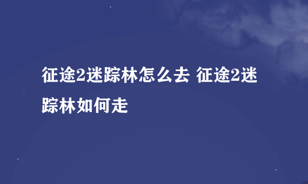 征途2迷踪林怎么去 征途2迷踪林如何走