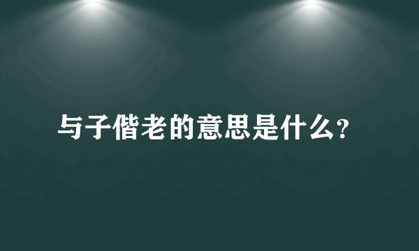 与子偕老的意思是什么？