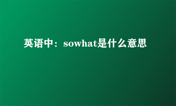 英语中：sowhat是什么意思