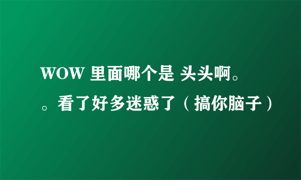 WOW 里面哪个是 头头啊。。看了好多迷惑了（搞你脑子）