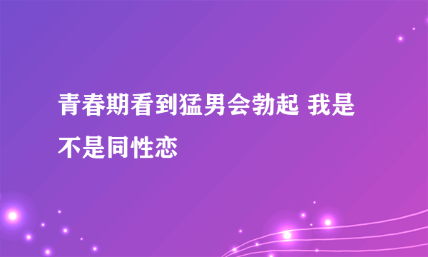 青春期看到猛男会勃起 我是不是同性恋