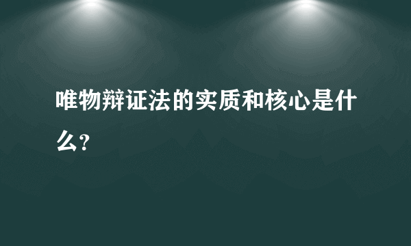 唯物辩证法的实质和核心是什么？