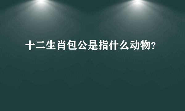 十二生肖包公是指什么动物？