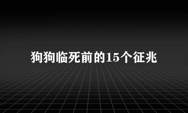 狗狗临死前的15个征兆