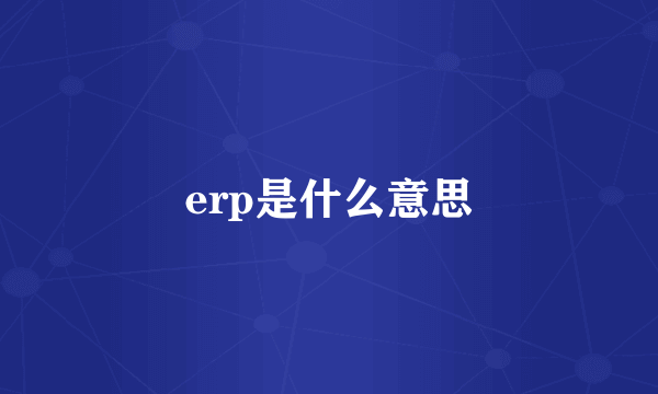 erp是什么意思