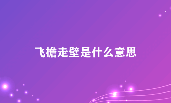 飞檐走壁是什么意思