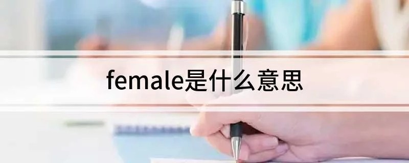 female是什么意思