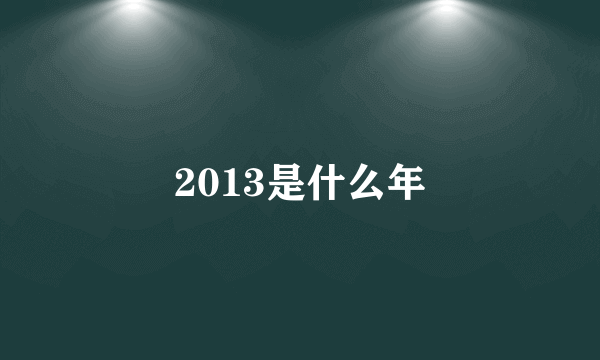 2013是什么年