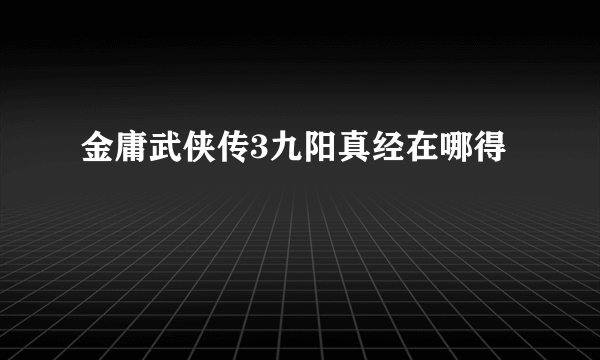 金庸武侠传3九阳真经在哪得