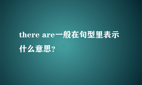 there are一般在句型里表示什么意思？