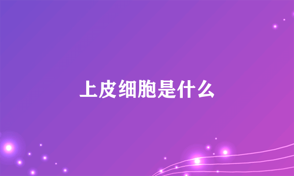 上皮细胞是什么