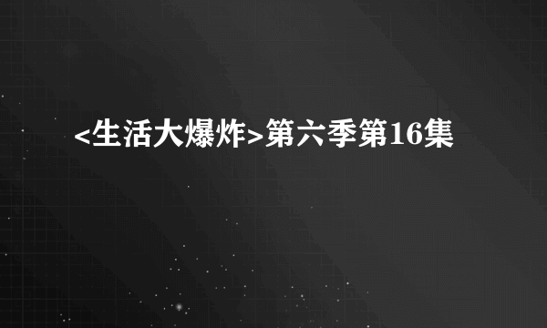 <生活大爆炸>第六季第16集