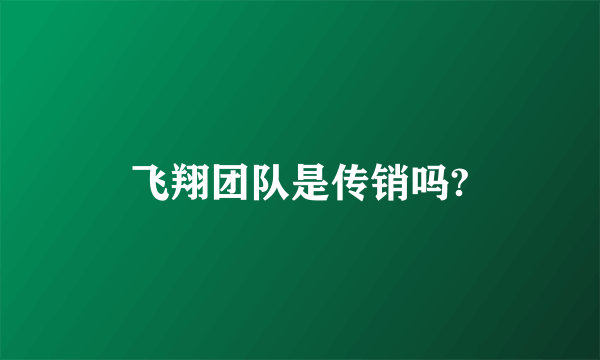 飞翔团队是传销吗?