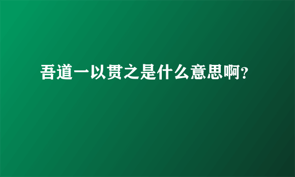 吾道一以贯之是什么意思啊？