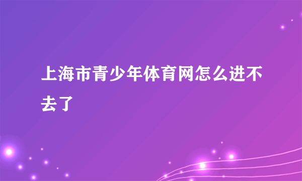 上海市青少年体育网怎么进不去了