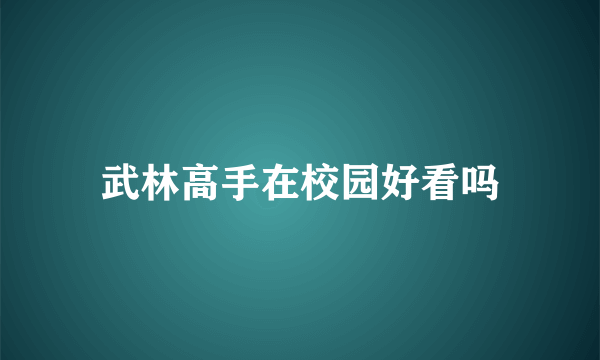 武林高手在校园好看吗