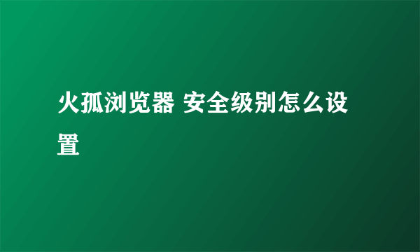 火孤浏览器 安全级别怎么设置