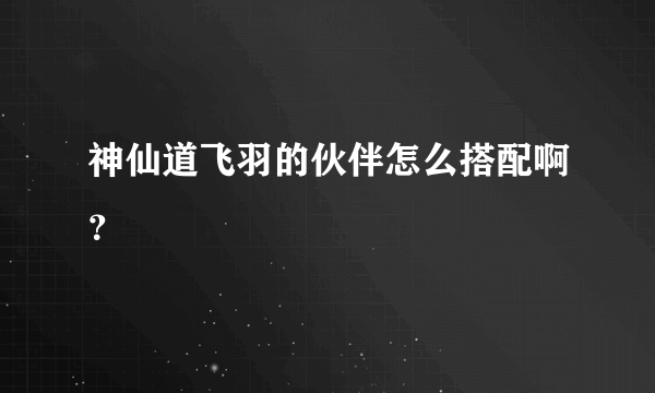 神仙道飞羽的伙伴怎么搭配啊？