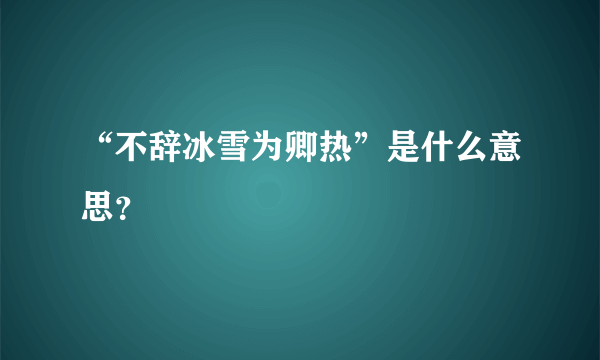 “不辞冰雪为卿热”是什么意思？