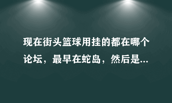 现在街头篮球用挂的都在哪个论坛，最早在蛇岛，然后是兔窝，然后是蛇岛，现在哪个论坛比较专业的FS挂