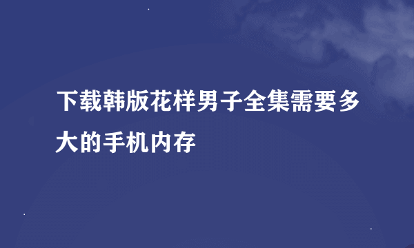 下载韩版花样男子全集需要多大的手机内存