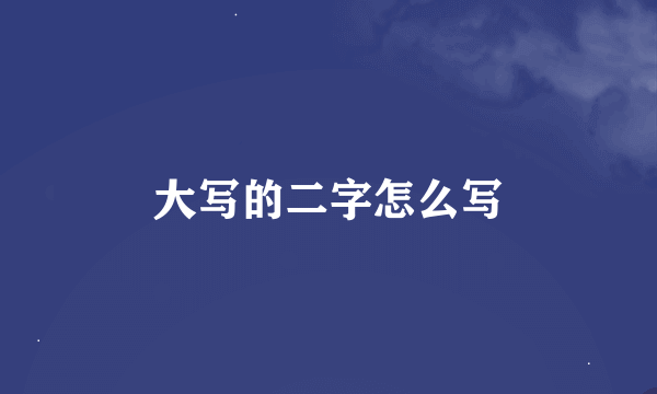 大写的二字怎么写