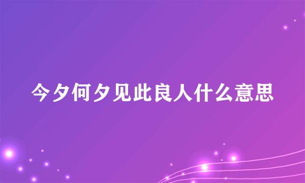 今夕何夕见此良人什么意思