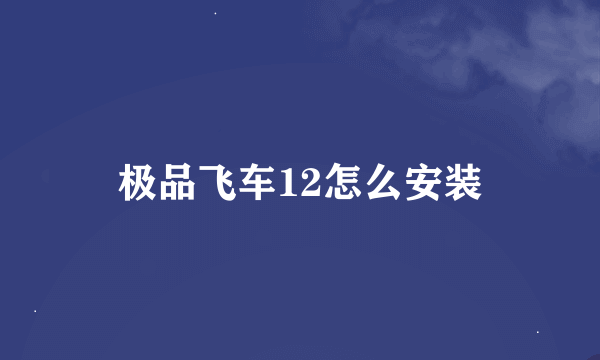 极品飞车12怎么安装