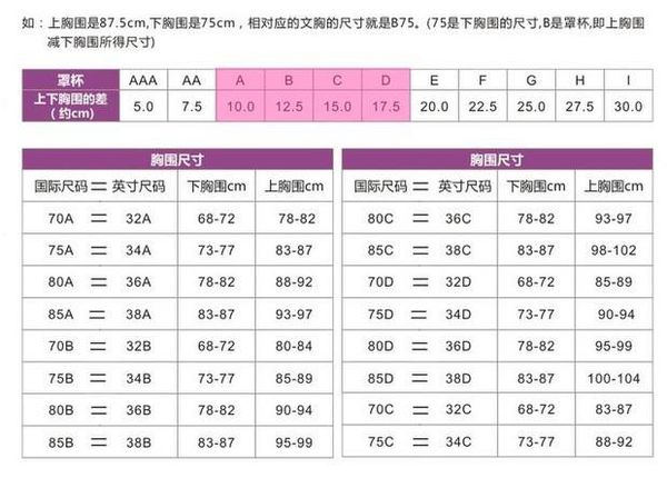 胸围80d是多少厘米