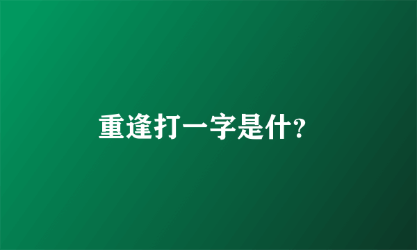 重逢打一字是什？