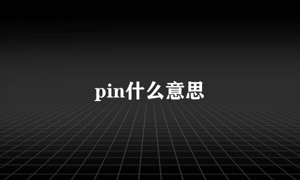 pin什么意思