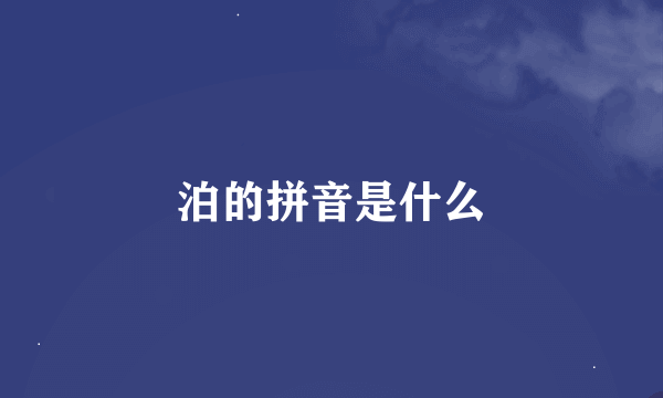 泊的拼音是什么